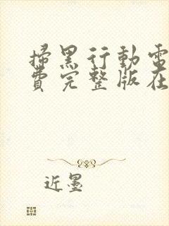 扫黑行动电影免费完整版在线观看