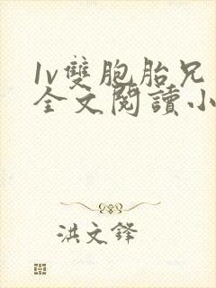 1v双胞胎兄弟全文阅读小说