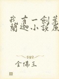 我有一剑叶观纳兰迦小说原文免费阅读