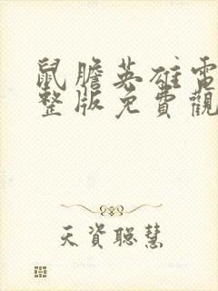 鼠胆英雄电影完整版免费观看封面