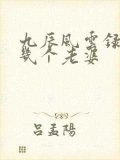 九辰风云录阳辰几个老婆