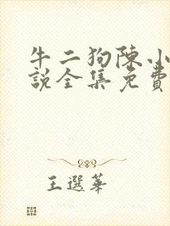 牛二狗陈小燕小说全集免费