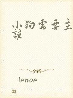 小狗需要主人小说