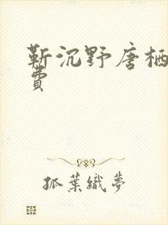 靳沉野唐栖雾免费