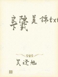 良陈美锦txt下载