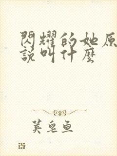 闪耀的她原著小说叫什么封面