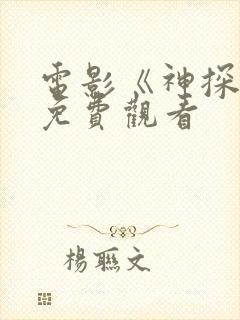 电影《神探2》免费观看