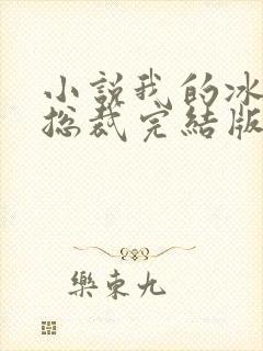 小说我的冰山女总裁完结版