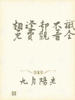 相逢却不识短剧免费观看全集