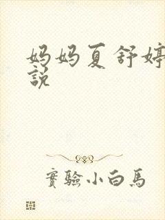 妈妈夏舒婷的小说