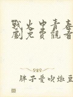 战火中青春电视剧免费观看全集