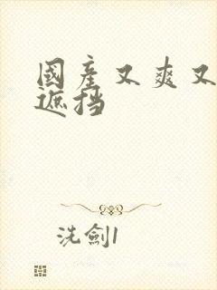 国产又爽又黄无遮挡