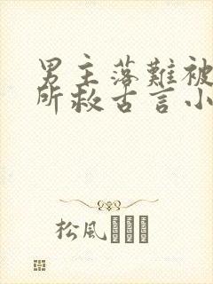 男主落难被女主所救古言小说封面