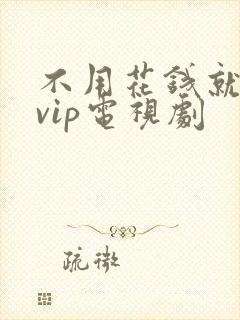 不用花钱就能看vip电视剧封面