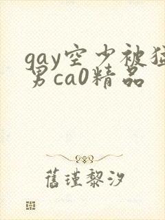 gay空少被猛男ca0精品封面