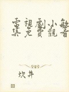 电视剧小敏家全集免费观看封面