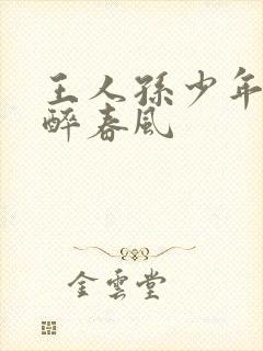 王人孙少年白马醉春风封面