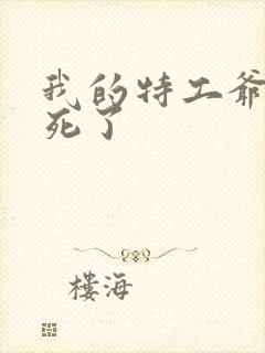 我的特工爷爷谁死了