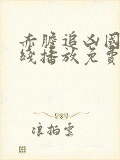 赤胆追凶国语在线播放免费观看