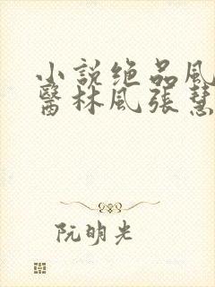 小说绝品风流狂医林风张慧电子书全集