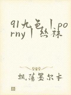 91九色丨porny丨丝袜