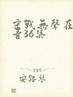 密战无声在线观看36集