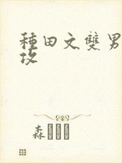 种田文双男主主攻