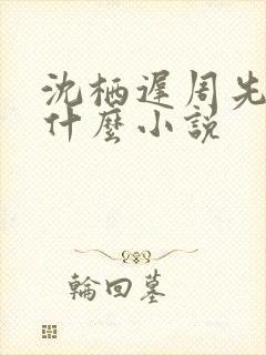 沈栖迟周先予是什么小说封面