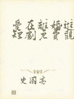 爱在离婚进行时短剧免费观看全集封面