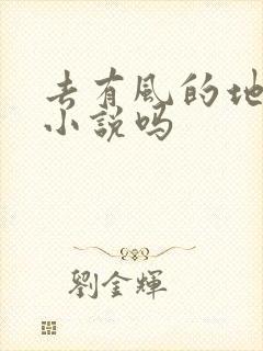 去有风的地方有小说吗