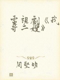 电视剧《我的二哥二嫂》