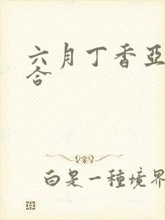 六月丁香亚洲综合