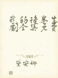 我的后半生电视剧全集免费播放高清