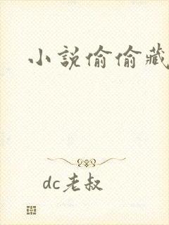 小说偷偷藏不住