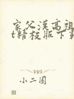 家父汉高祖txt精校版下载封面