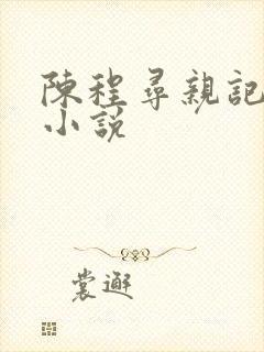 陈程寻亲记原著小说