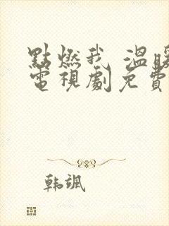 点燃我 温暖你电视剧免费观看