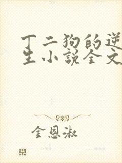丁二狗的逆袭人生小说全文阅读