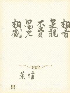 相思不是相逢短剧免费观看