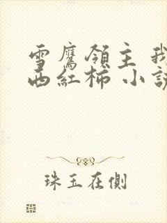 雪鹰领主 我吃西红柿 小说