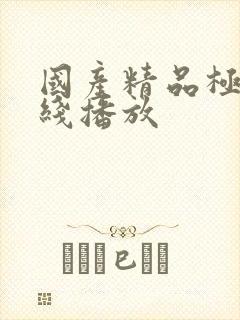 国产精品极品在线播放