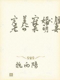 完美宠婚:腹黑老公呆萌妻