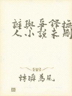 谁与争锋抚琴的人小说未删版下载