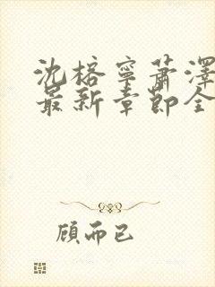 沈榕宁萧泽小说最新章节全文阅读封面