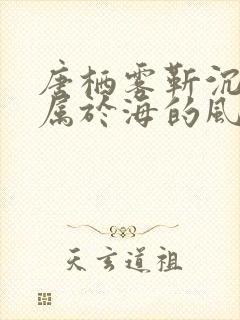 唐栖雾靳沉野不属于海的风