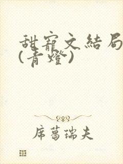 甜宠文结局之后(青灯)封面