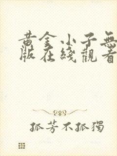 黄金小子无删减版在线观看