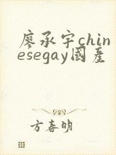 廖承宇chinesegay国产封面