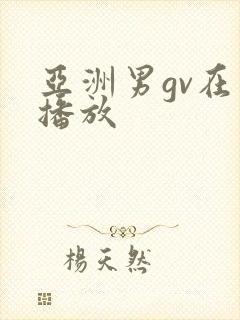 亚洲男gv在线播放