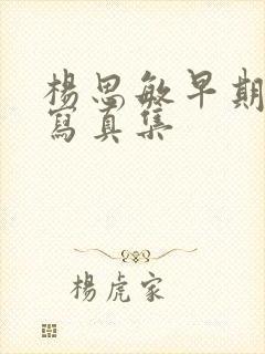 杨思敏早期裸体写真集